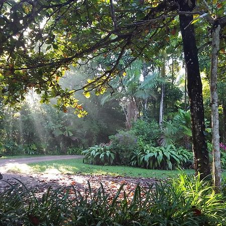 Fanpalm Creek Hideaway Villa Diwan Exterior photo